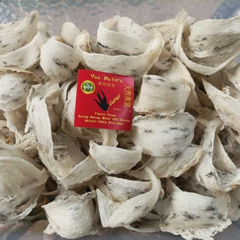 Sarang Walet Mentah Asli – Belum Cuci, Kualitas Bagus Siap Olah