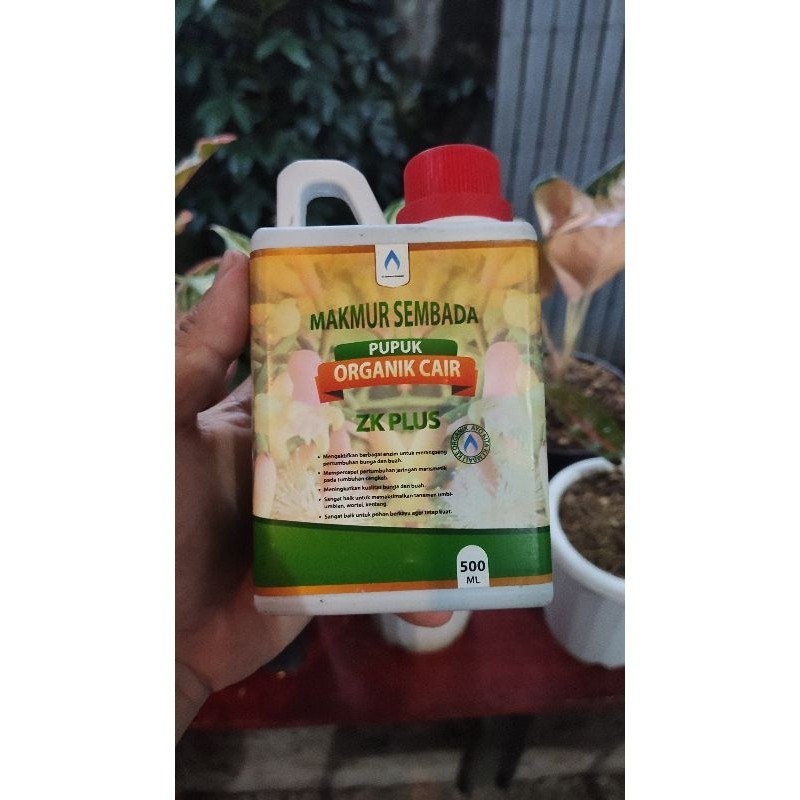 TerbaruZk plus Pupuk Organic Cair ZK Plus 500ml - Pupuk Pelebat Buah dan bunga - Hormon Pelebat Buah