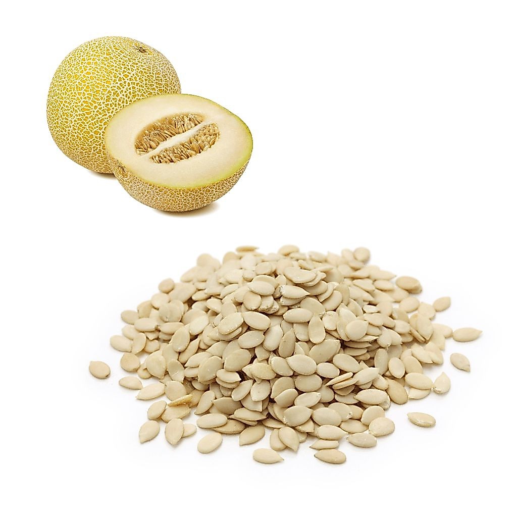 BIBIT BUAH MELON MADU  SUPER BIBIT UNGGUL PER 50 BUTIR