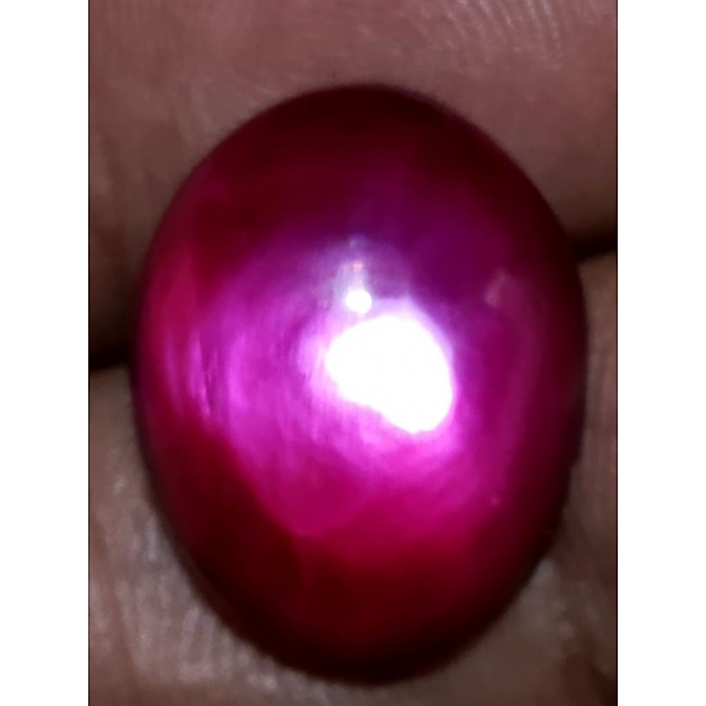 batu mutiara kerang merah main klep giwang tampilan mewah