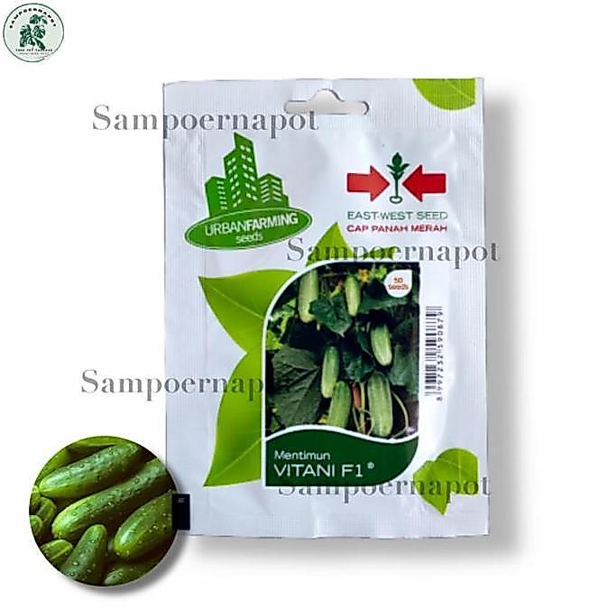 Okebro- Noni- Benih Bibit Timun Lalap Vitani F1 Cap Panah Merah - Timun Vitani F1