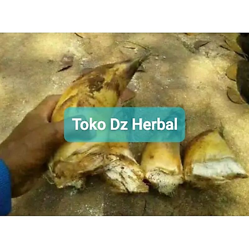 Jual rebung bambu kuning asli paket 500 gram murah-az