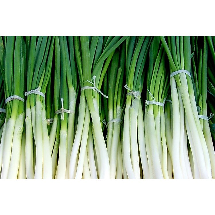 DAUN PREI / BAWANG PREI 250gram