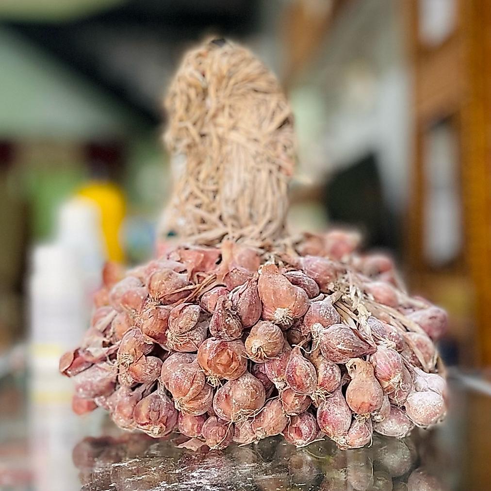 BIBIT BAWANG MERAH TAJUK NGANJUK (SIAP TANAM)