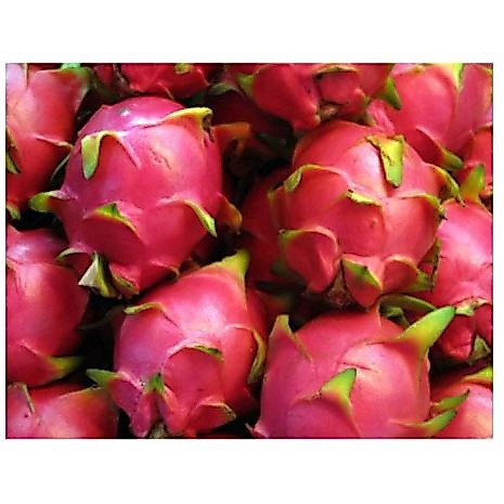 Grosir 500 gram Buah Naga Segar Murah