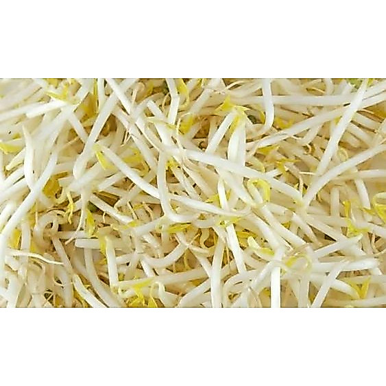 Toge Jepang Besar 500gr
