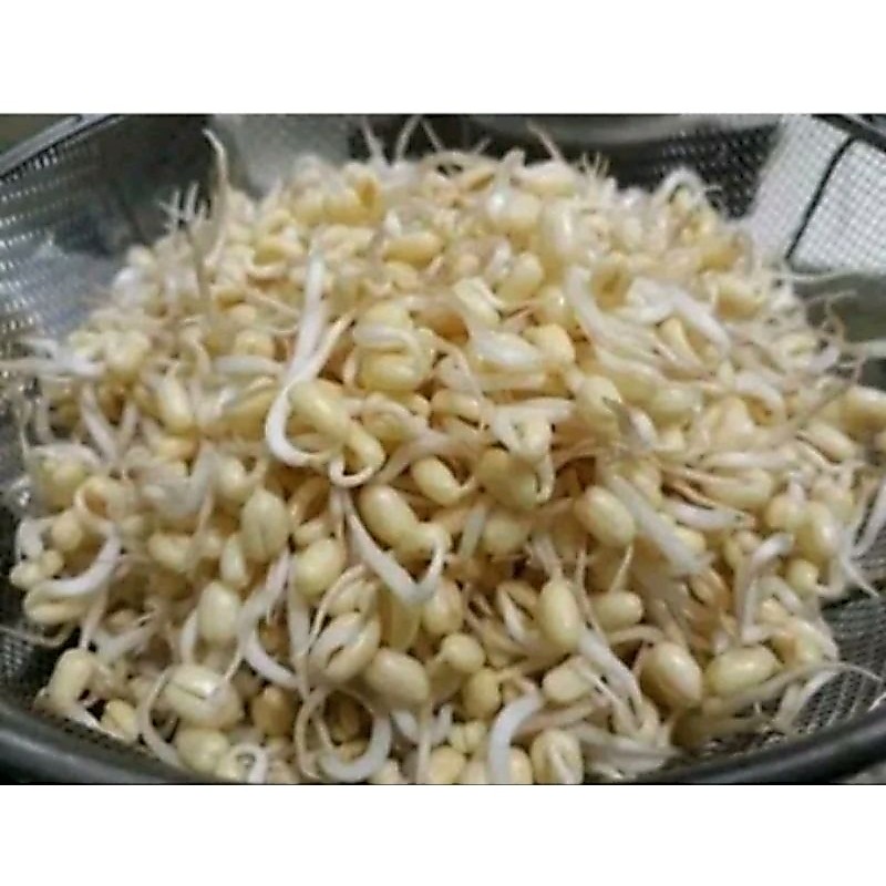 tauge kecil 500gr