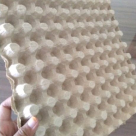 tray telur puyuh bahan karton