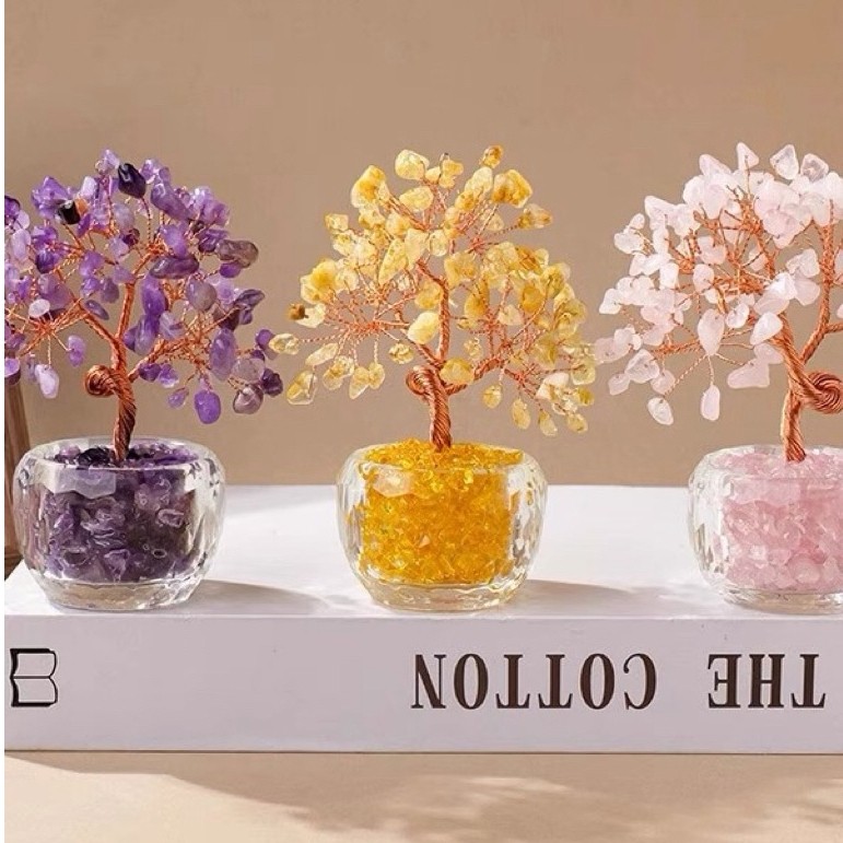 pohon chip hoki 3 warna