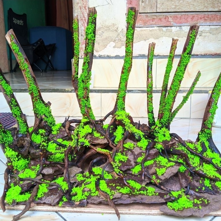 Harscape jungle style, Aquascape