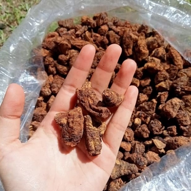 KLEMBAK SRINTIL 100 GRAM