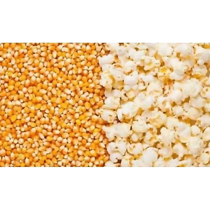 Jagung Mentah popcorn