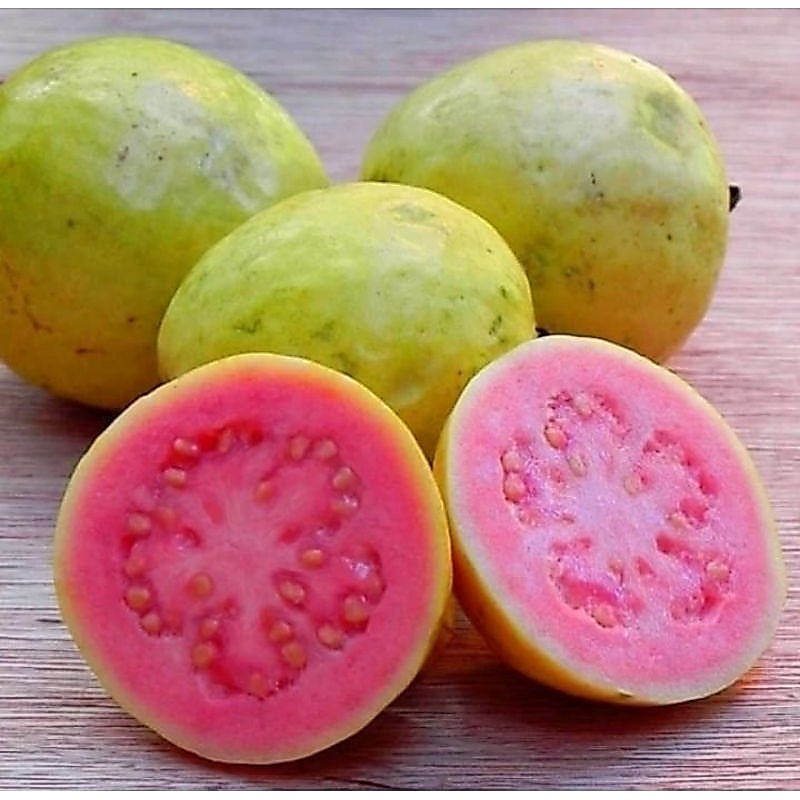 jambu merah 1kg