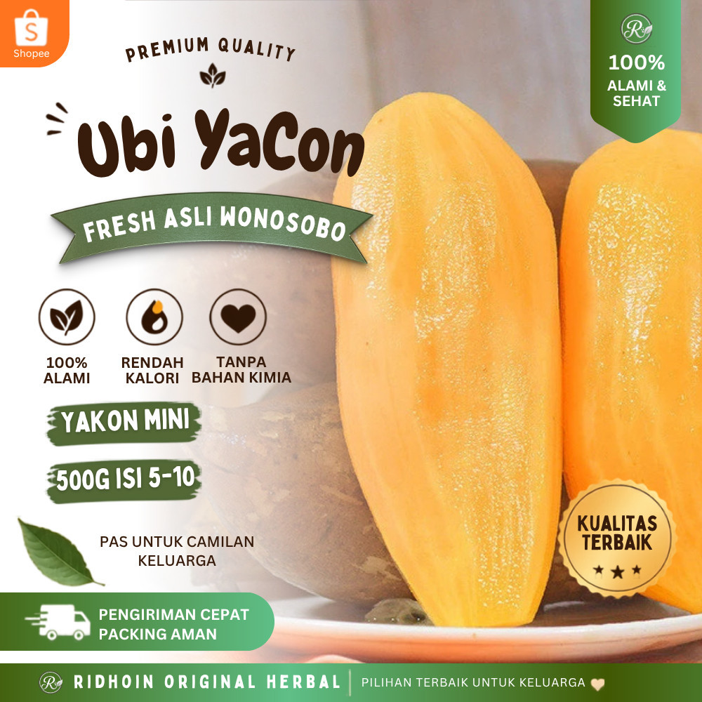 Ubi Yacon Asli Wonosobo 500 Gram Umbi Yakon Mini Original 100% Viral Segar Organik