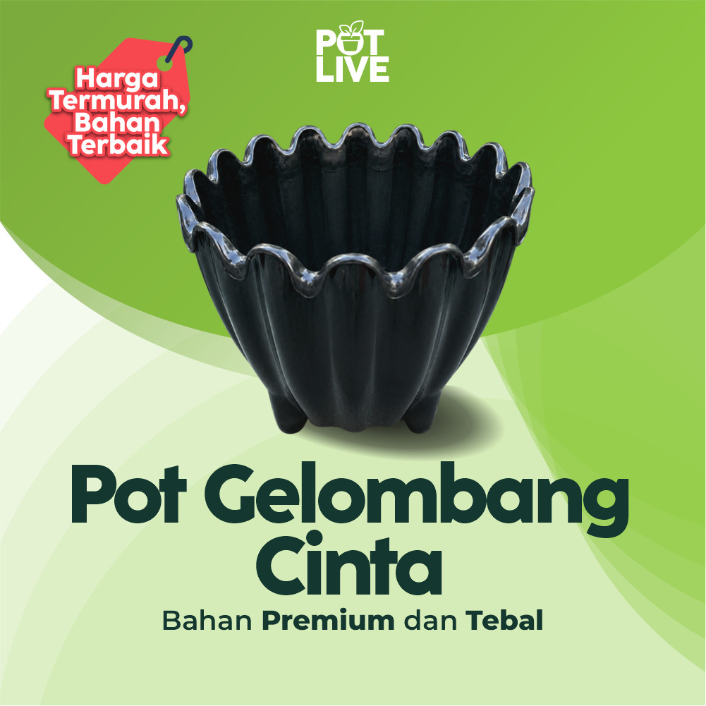 Pot Tanaman Hias Gelombang Cinta 06 Bahan Plastik Tebal Kuat Pot Bunga Bergelombang - POT LIVE