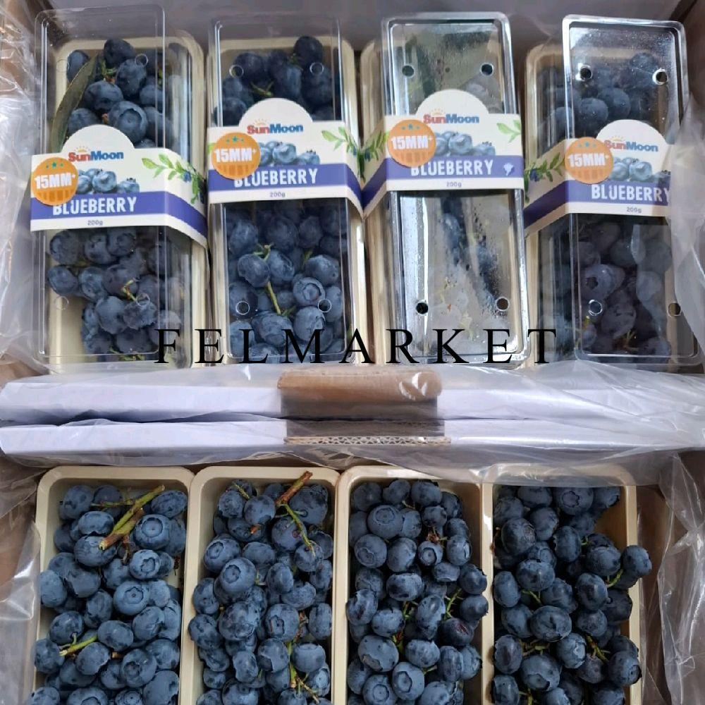 Buah Blueberry Sunmoon Tangkai Fresh / Buah Blueberry Tangkai / 1 Pack