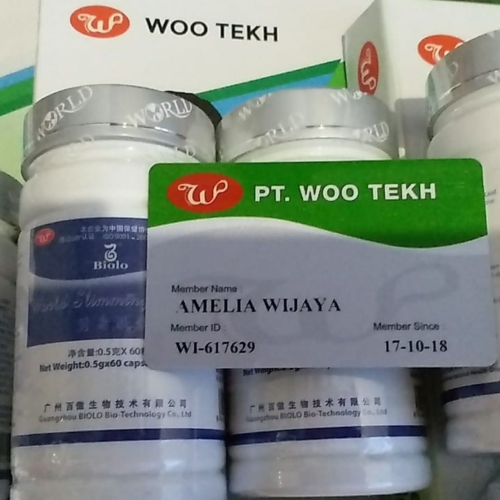 100% ORI BIOLO IMPORT WSC WOOTEKH ISI 60 KAPSUL