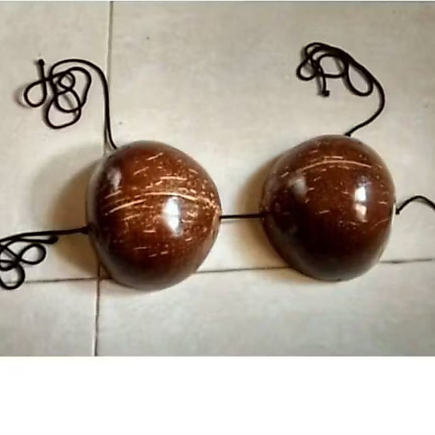 Bra batok kelapa untuk tari