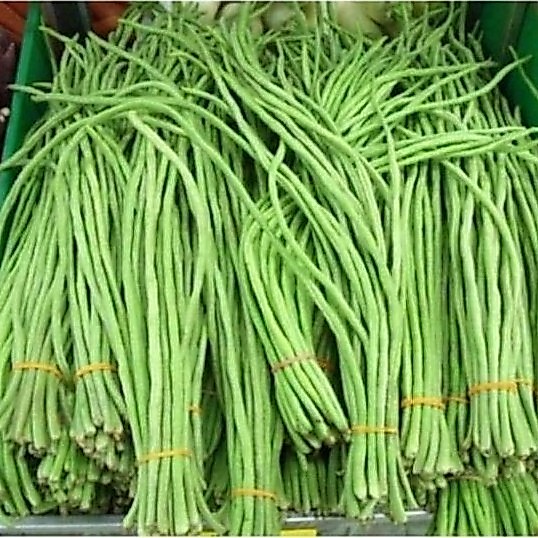 Benih Kacang Panjang Berkualitas dengan Isi 75 Biji - Tanaman Kebun yang Mudah Tumbuh