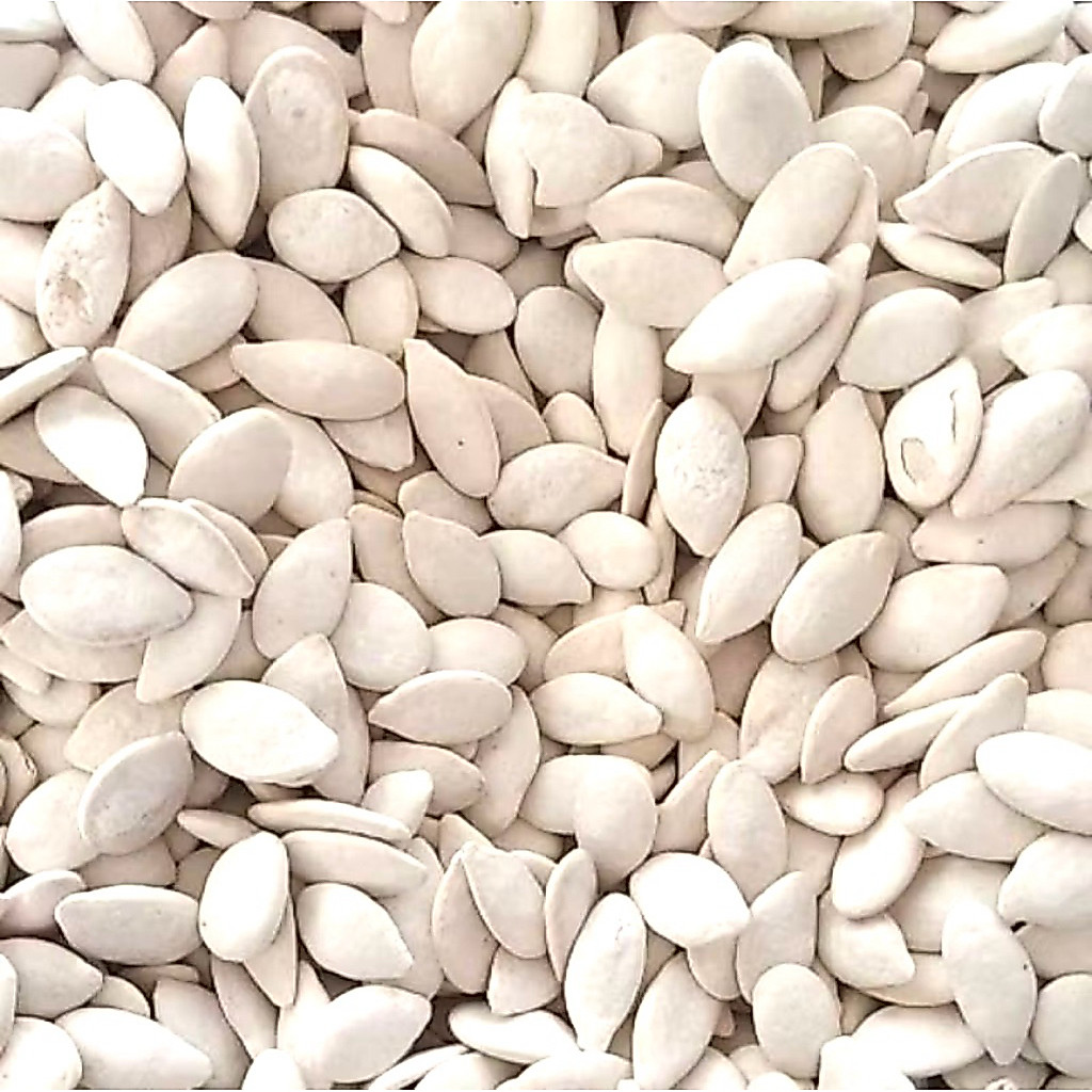 Kuaci Putih / Kwaci Putih / Kuaci Putih Biji Labu Premium 100 gr | SNACKMAMA
