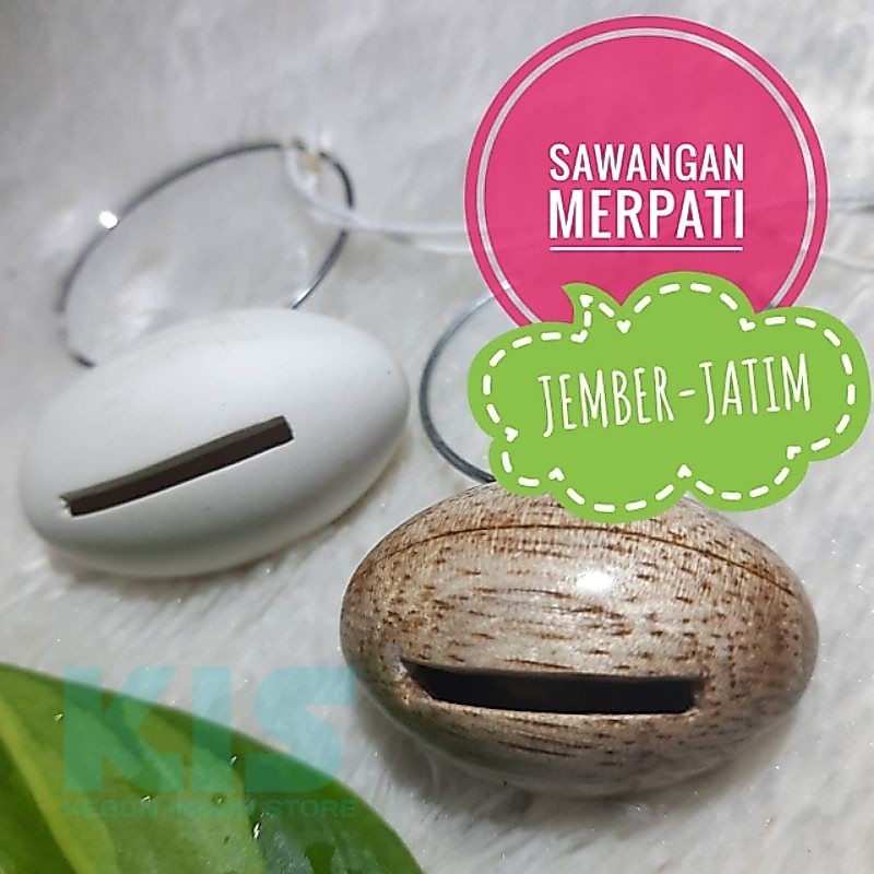 Sawangan Merpati Hatong Model Kalung Suara Nyaring
