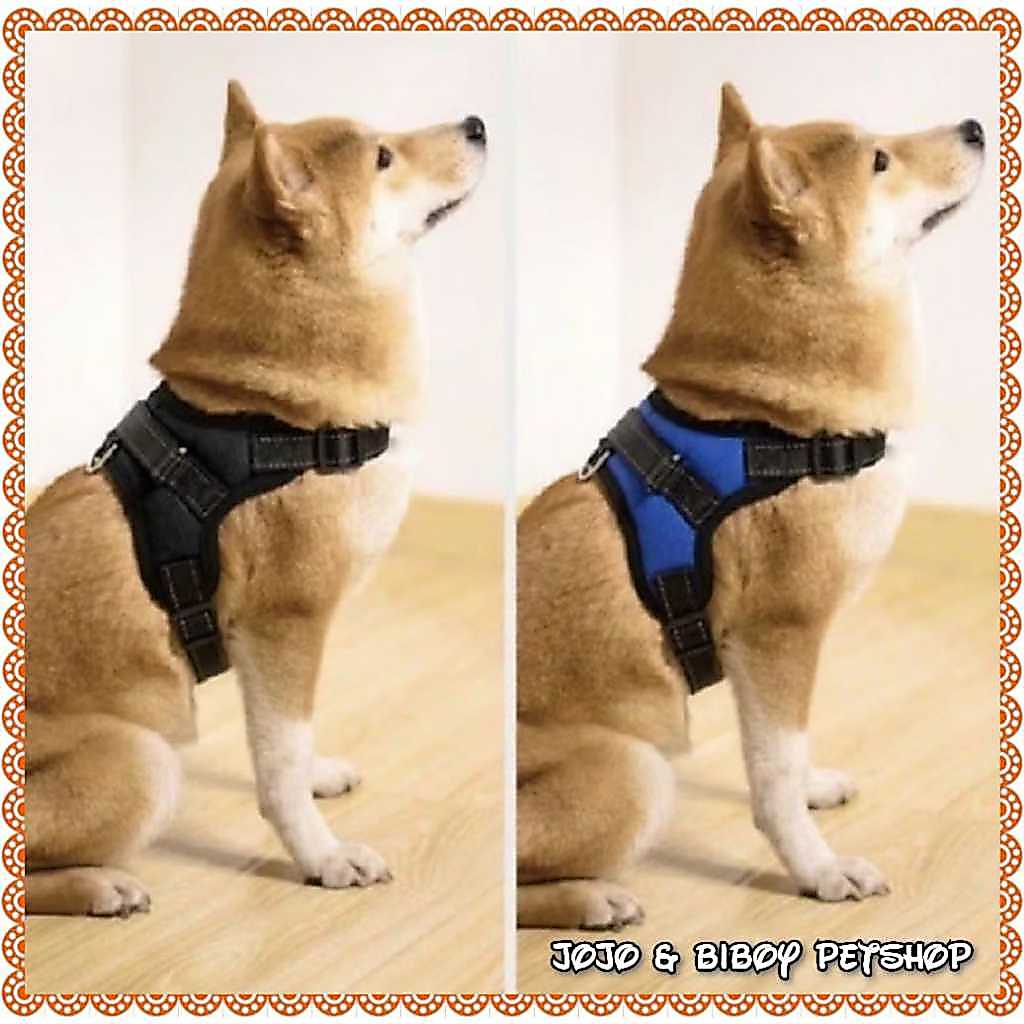Harness Anjing - Rompi Tuntun Anjing Ras Besar - Breathable Harness Leash Anjing Besar