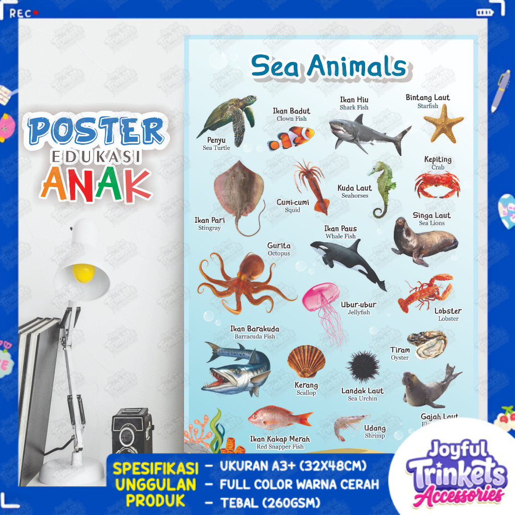 Poster Edukasi Anak - Poster Hewan Laut - Poster Sea Animals - Poster Mengenal Hewan Laut - Poster E