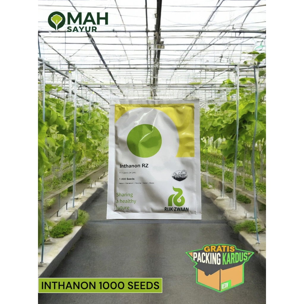 [1000] Benih Melon Inthanon RZ Isi 1000 Seeds