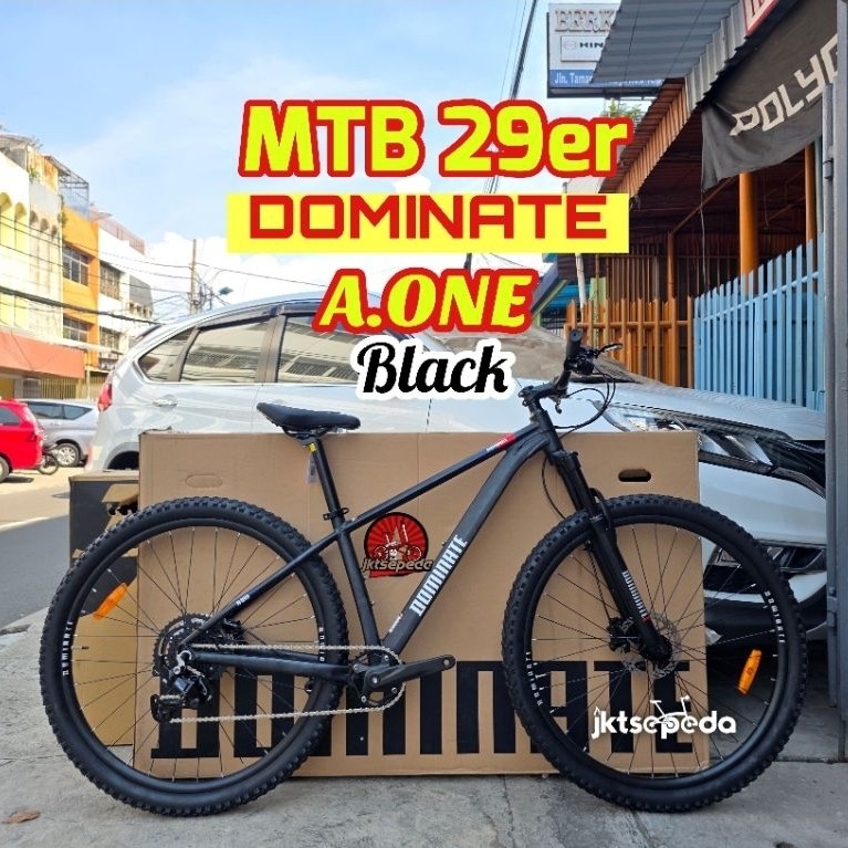 Sepeda MTB DOMINATE A ONE 29in