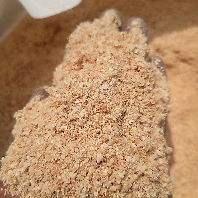 Sawdust Serbuk kayu pinus