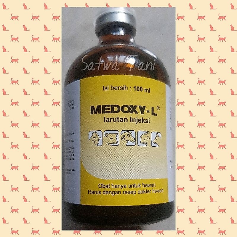 MEDOXY -L 100 ml (ANTIBIOTIK SPEKTRUM LUAS)