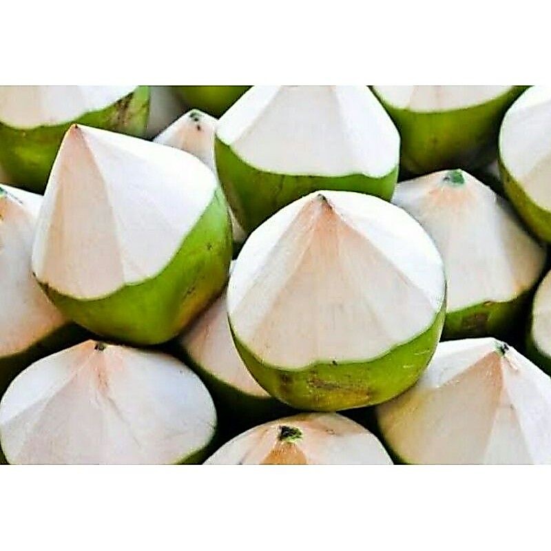 kelapa muda fresh kupas| kelapa muda tren | kelapa muda ala  thailand, kelapa muda segar