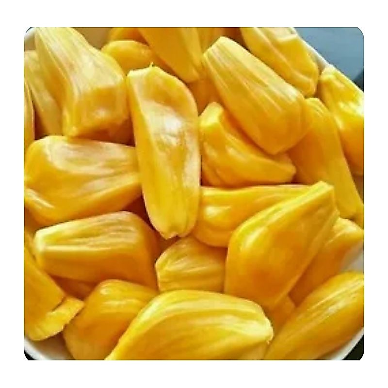 nangka matang 500gr