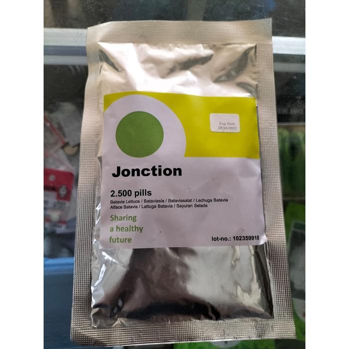 Benih Bibit Selada Batavia Jonction Rz 2500 Pills