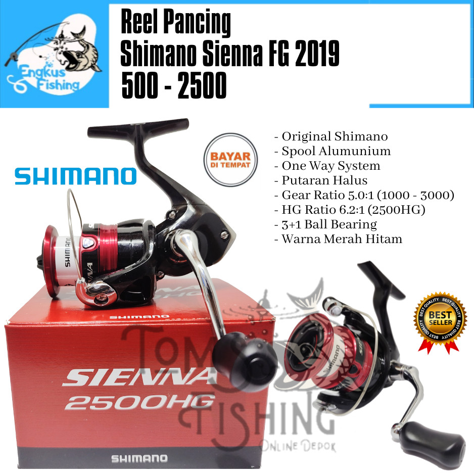 Reel Pancing SHIMANO SIENNA FG 2019 500 - 4000 Original (3+1 Bearing) Murah Garansi - Engkus Fishing