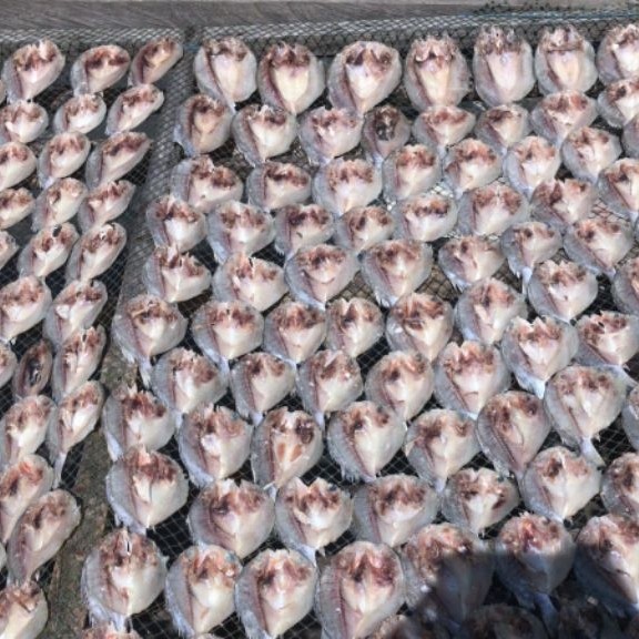 Ikan Kering Kelapa batu