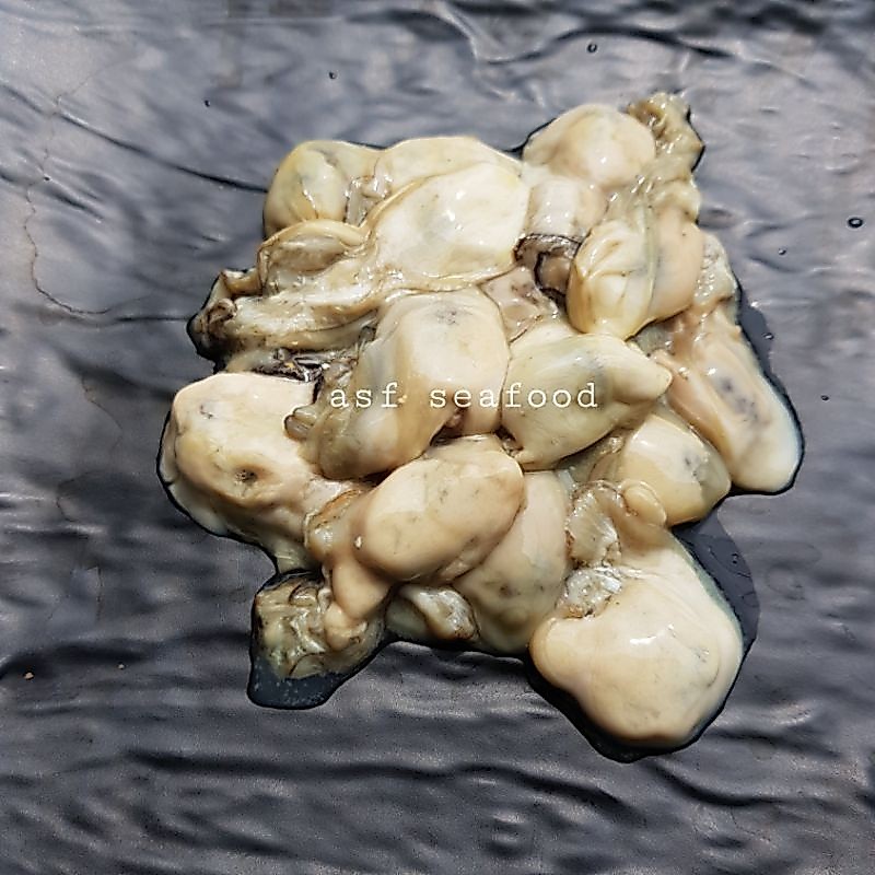 Kerang Tiram / Oyster kupas / Daging oyster kupas