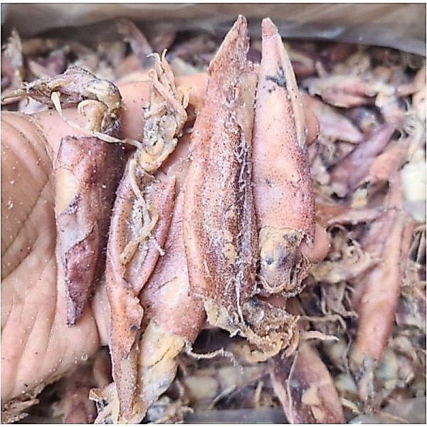 Cumi sotong kering 1 kg/ikan asin cumi kering/ikan asin tawar/cumi enak