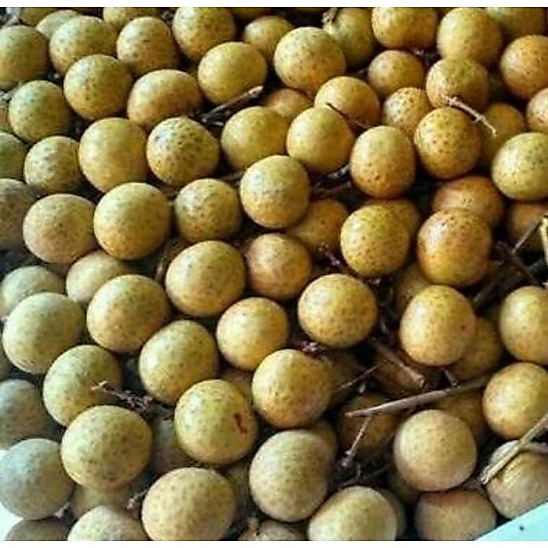 Buah Kelengkeng lengkeng fresh segar