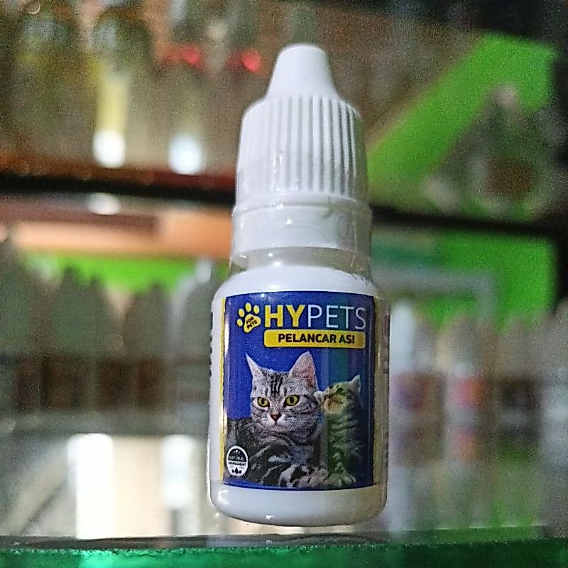 HYPETS Pelancar Asi Kucing