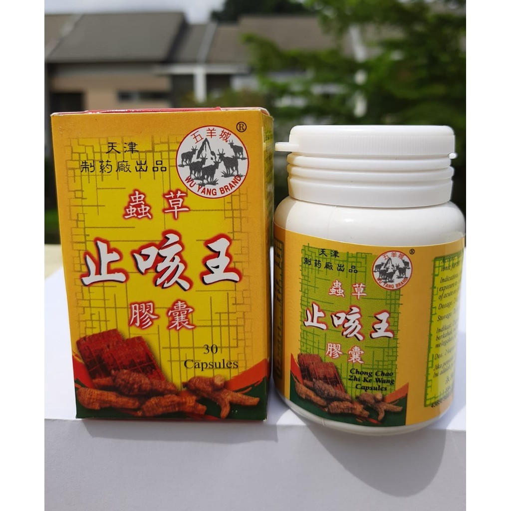 CHONG CHAO ORIGINAL 100% ZHI KE WANG CAPSULES OBAT BATUK MENAHUN ASMA SESAK NAFAS BRONKITIS OBAT TBC