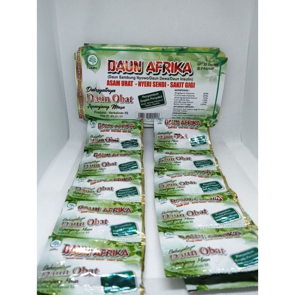 daun afrika DAUN AFRIKA KAPSUL ASAM URAT