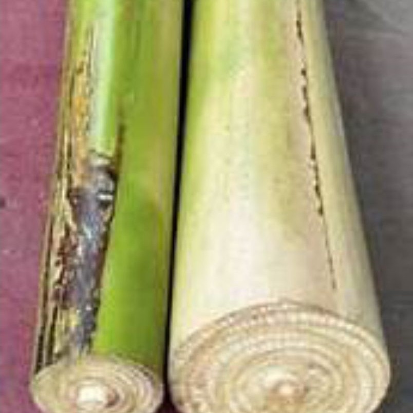Gedebog Pisang