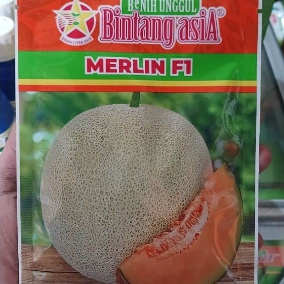 Melon Merlin F1 20 gr