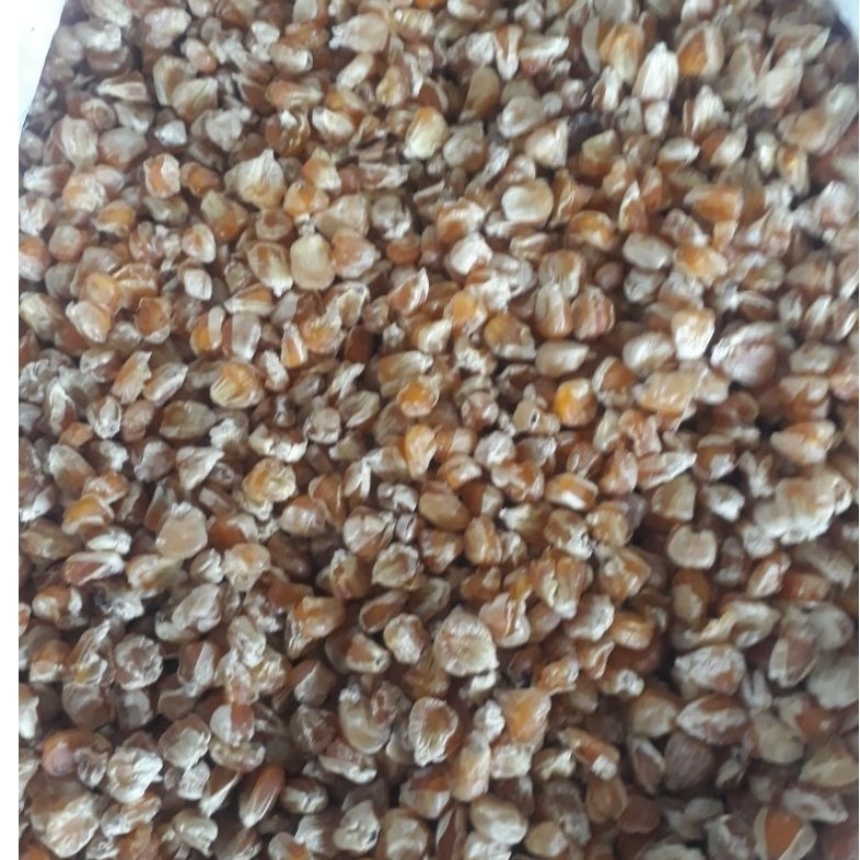 Jagung Marning Mentah 1kg Curah Loslosan belum di goreng