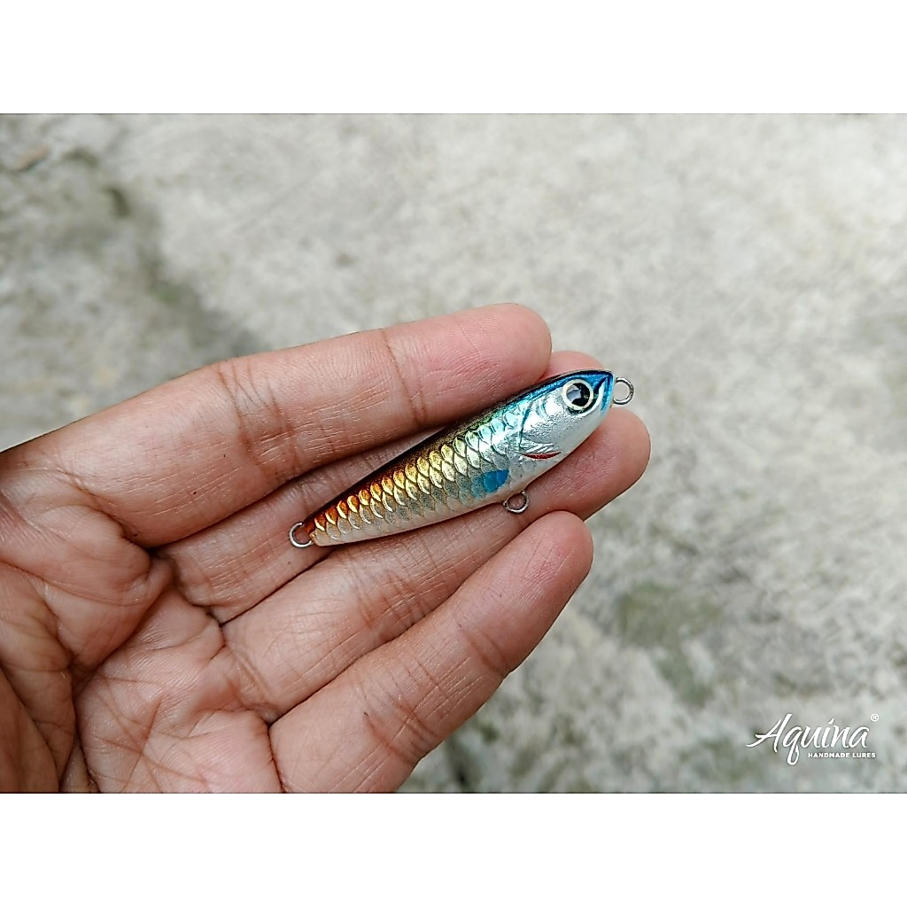 Aquina Lures Floating WTD 5cm Warna Bohemian Rainbow