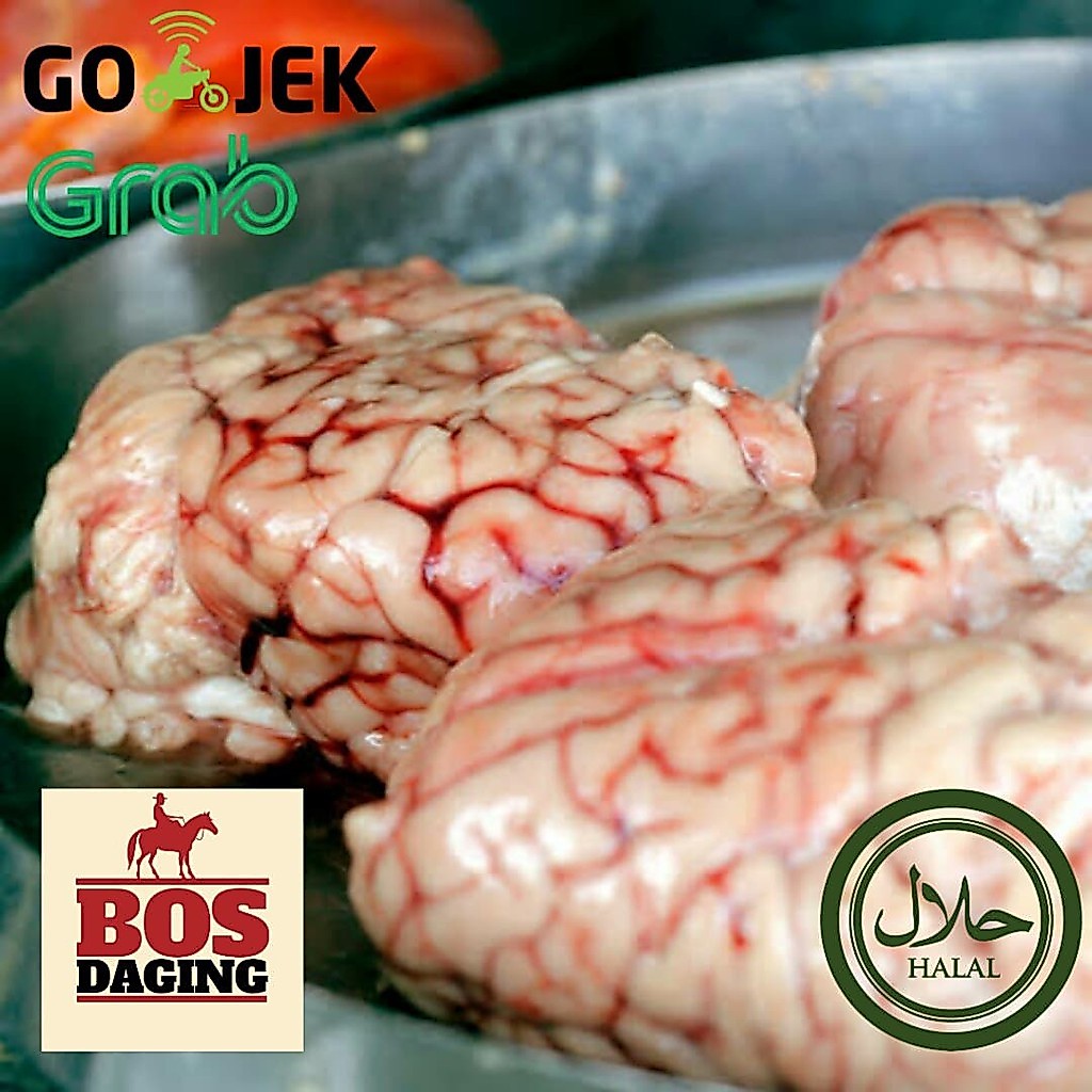 Otak sapi / gulai otak / daging sapi / lokal bukan impor dijamin fresh segar