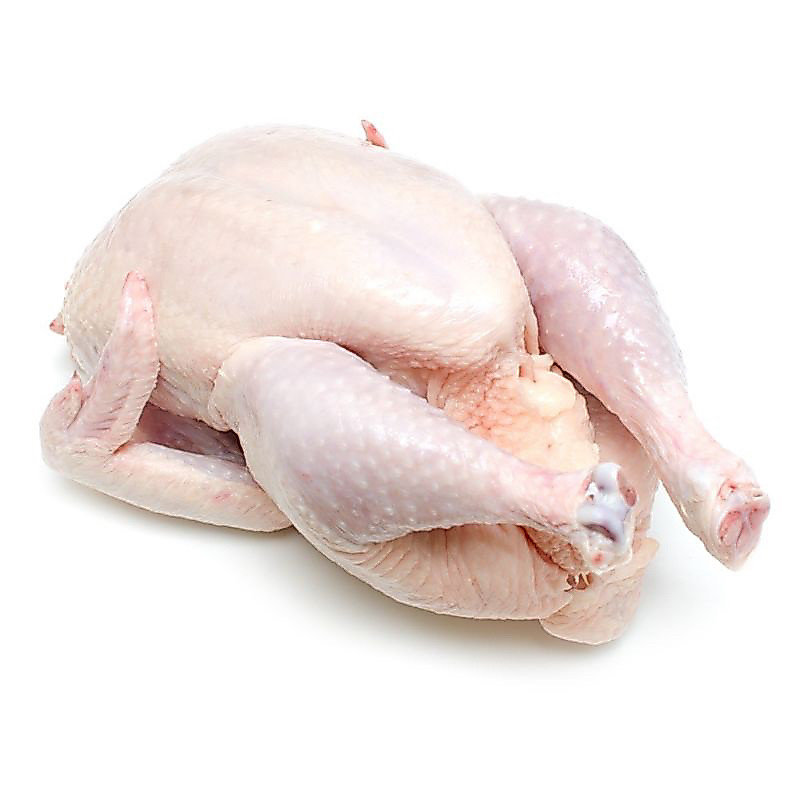 AYAM UTUH FROZEN