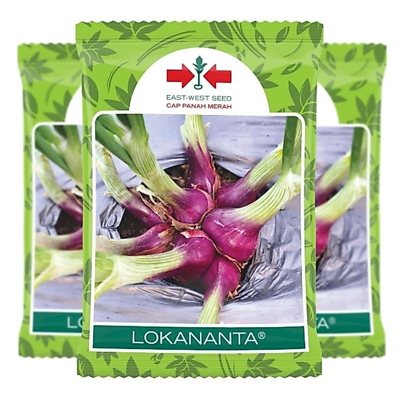 Cap Panah Merah Benih Bawang Merah LOKANANTA Isi 500 Gram
