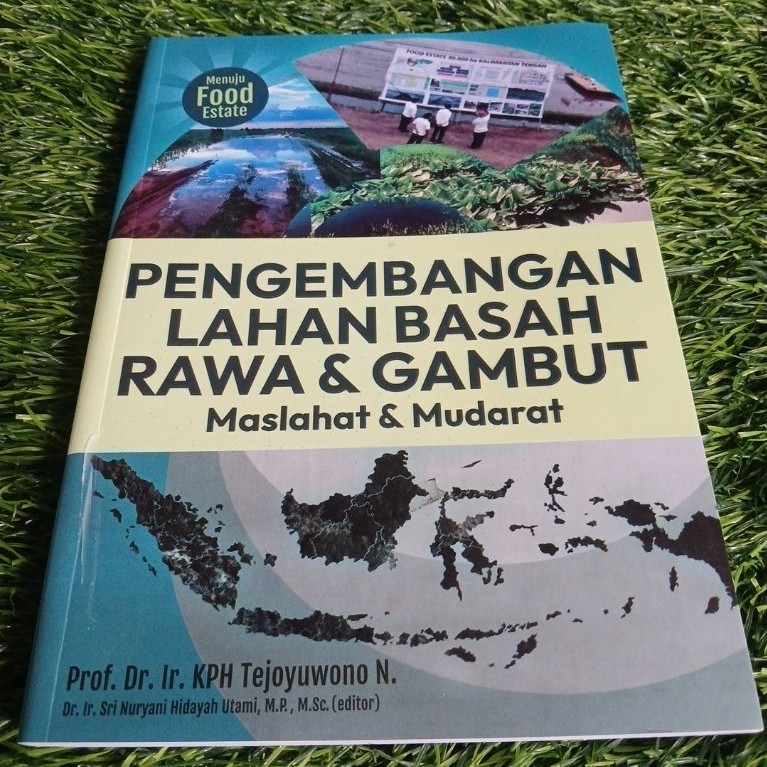 buku pengembangan lahan basah rawa & gambut